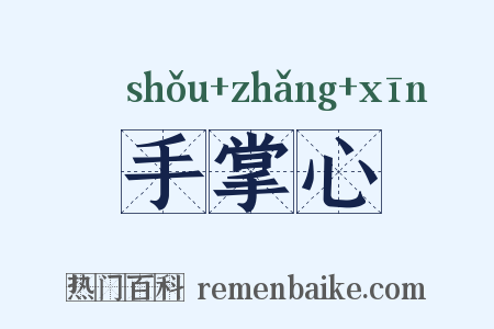 手掌心是什么意思的图片
